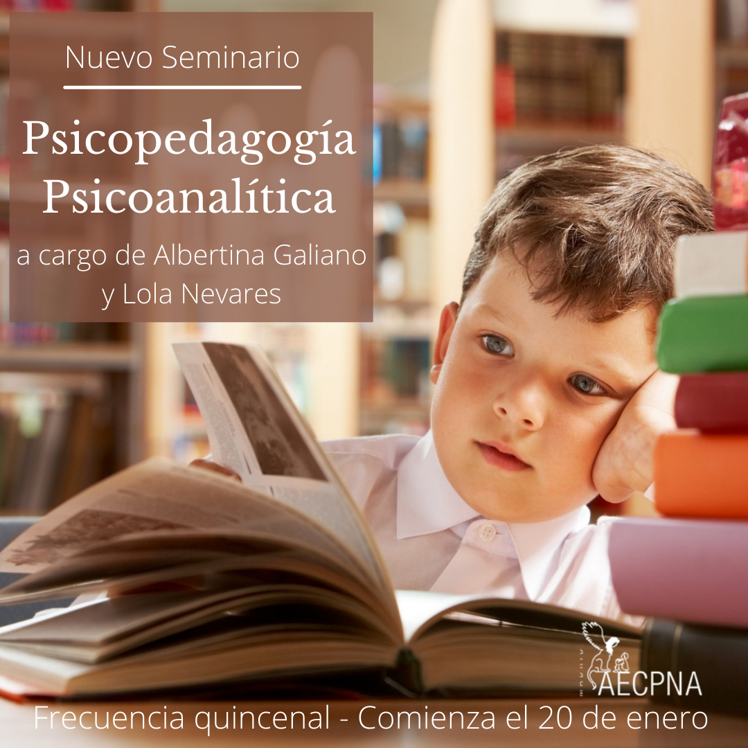 Seminario Psicopedagogía Psicoanalitica